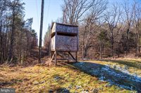 2601 Hepner Road, Mount Jackson, VA 22842