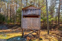 2601 Hepner Road, Mount Jackson, VA 22842