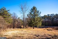 2601 Hepner Road, Mount Jackson, VA 22842