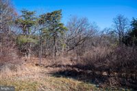 2601 Hepner Road, Mount Jackson, VA 22842