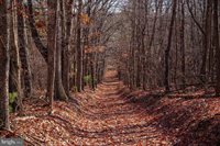 2601 Hepner Road, Mount Jackson, VA 22842