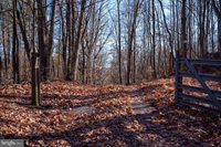 2601 Hepner Road, Mount Jackson, VA 22842