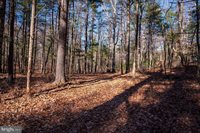 2601 Hepner Road, Mount Jackson, VA 22842