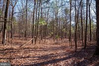 2601 Hepner Road, Mount Jackson, VA 22842