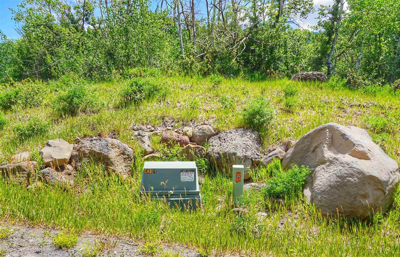 (Parcel 8) TBD Highway 65, Mesa, CO 81643