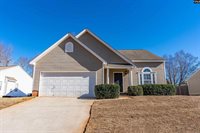 108 Tail Feather, Chapin, SC 29036