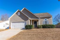 108 Tail Feather, Chapin, SC 29036