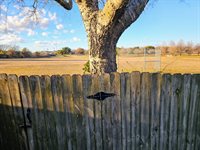 9515 Reno Drive, Woodway, TX 76712