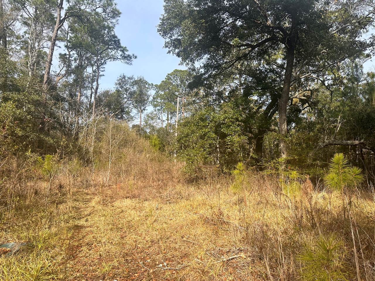 Lot 40&41 Gulf Street, Bay Saint Louis, MS 39520