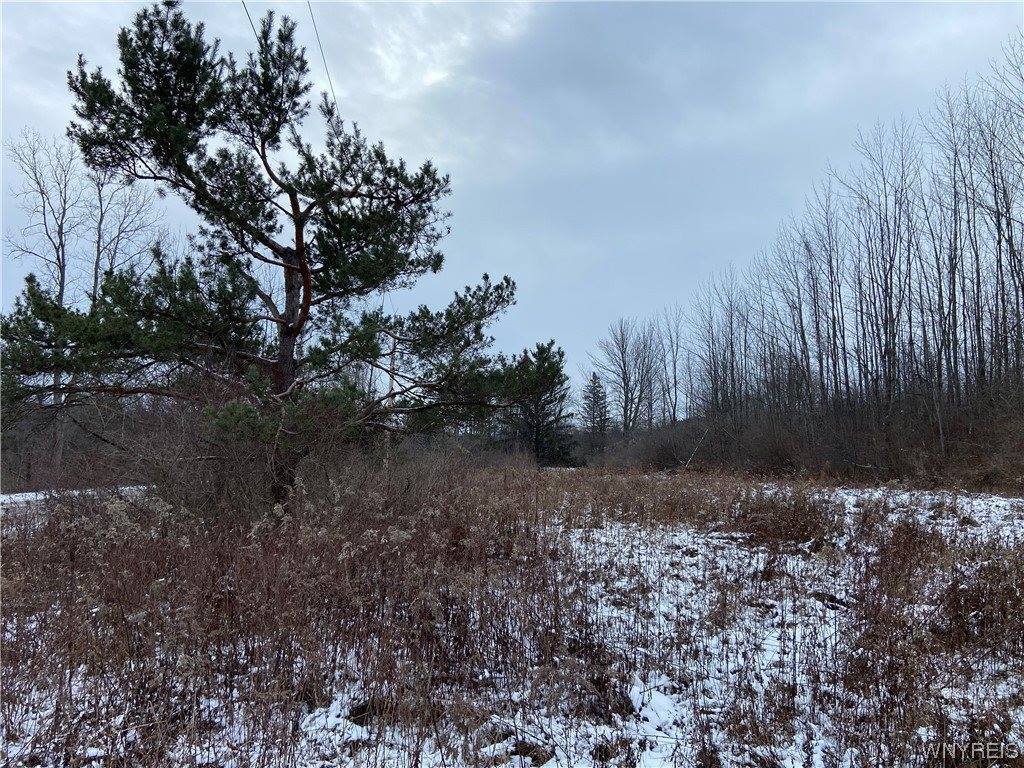 518 Tinkham Rd #4, Bennington, NY 14011