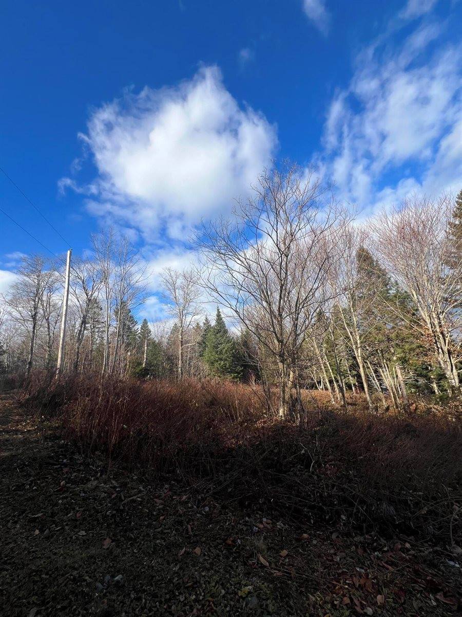 Lot 4 Indian Heights Subdivision, Whiting, ME 04691