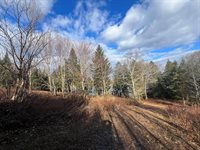 Lot 4 Indian Heights Subdivision, Whiting, ME 04691