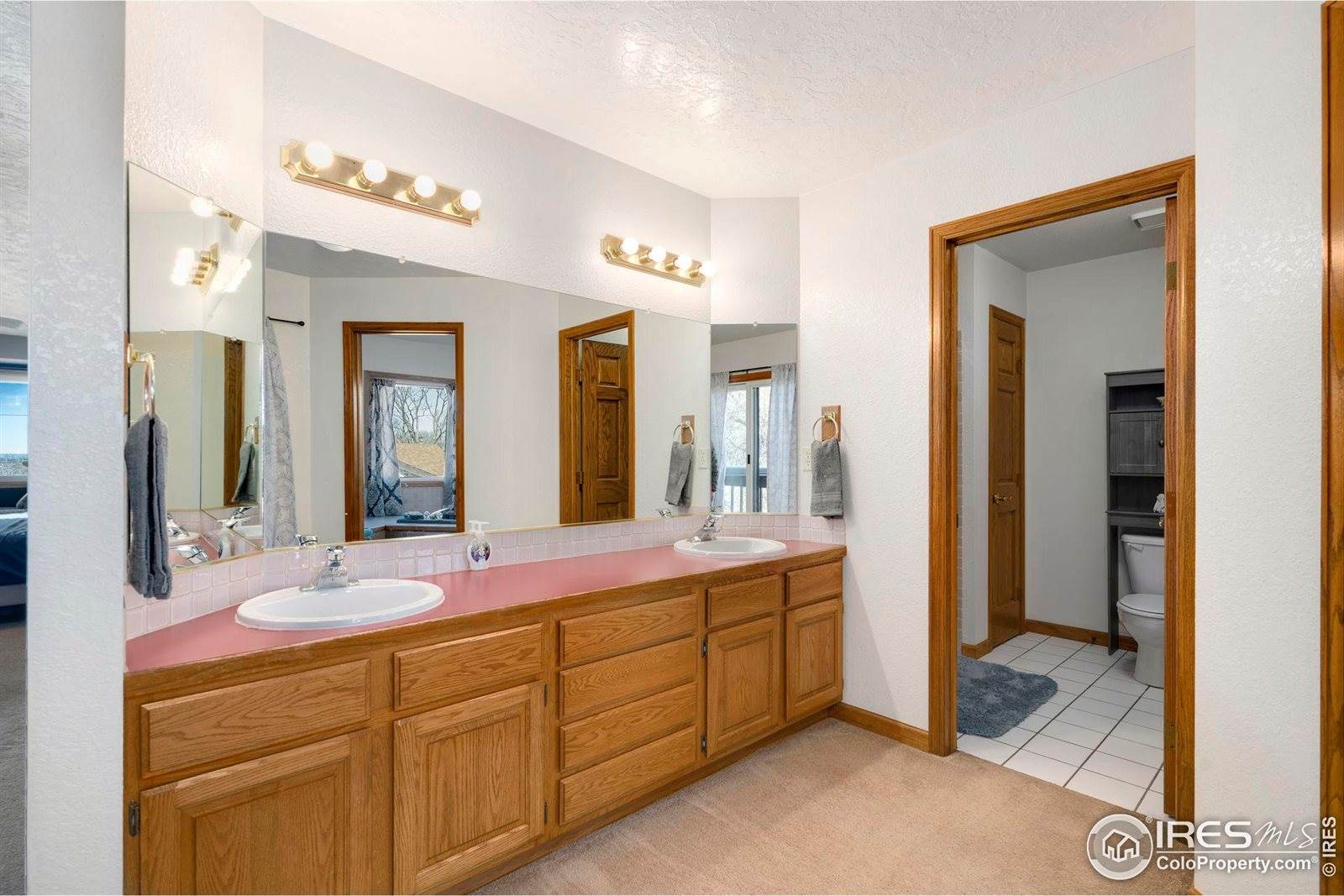 1185 Collins St, Eaton, CO 80615