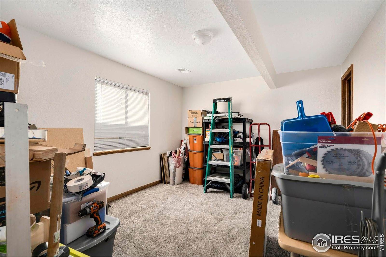 1185 Collins St, Eaton, CO 80615