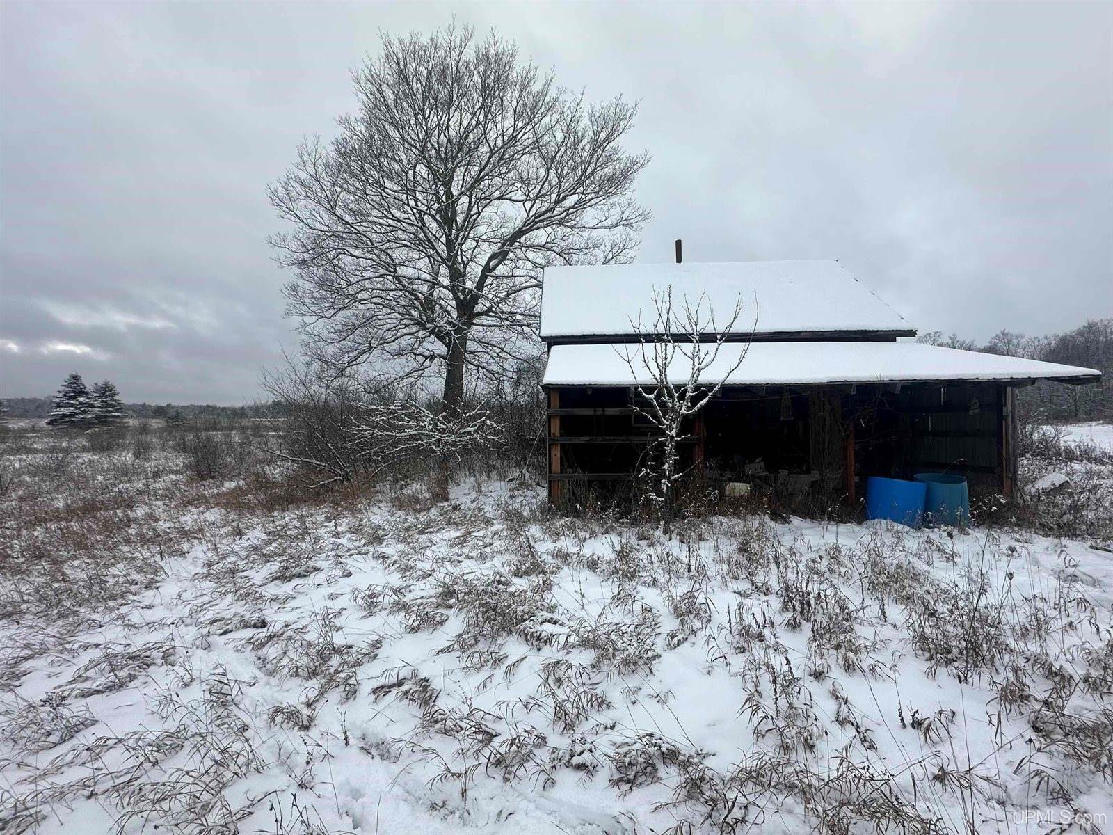 V/L Niemi Road, Trenary, MI 49891