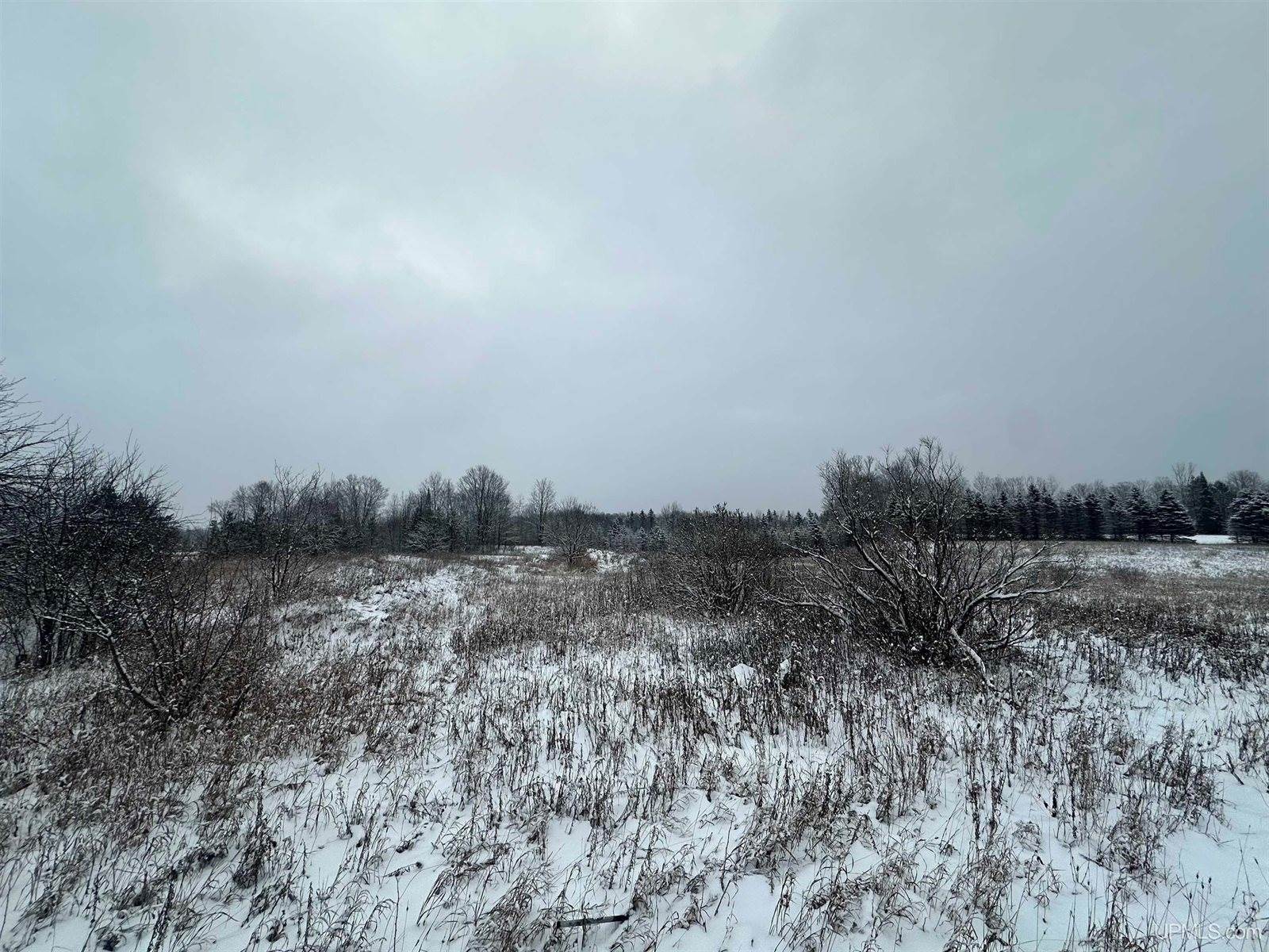 V/L Niemi Road, Trenary, MI 49891