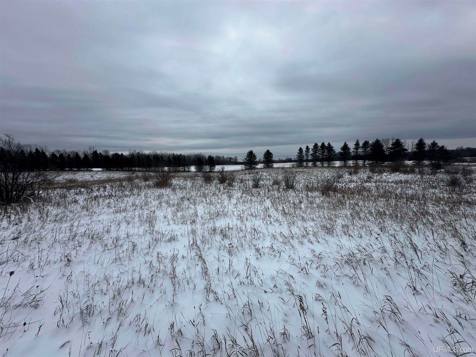 V/L Niemi Road, Trenary, MI 49891