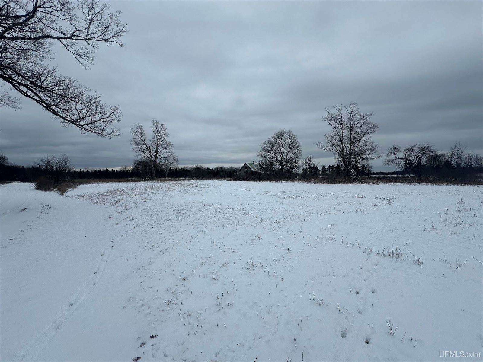 V/L Niemi Road, Trenary, MI 49891