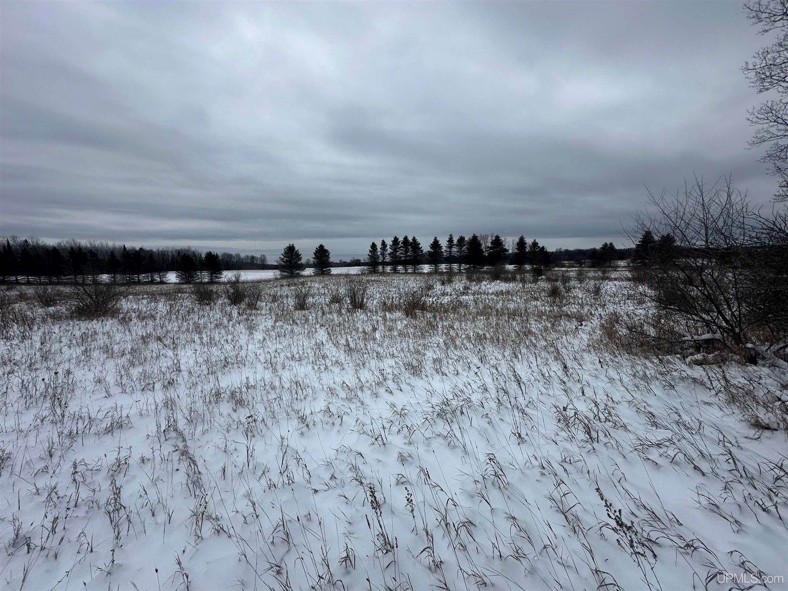 V/L Niemi Road, Trenary, MI 49891