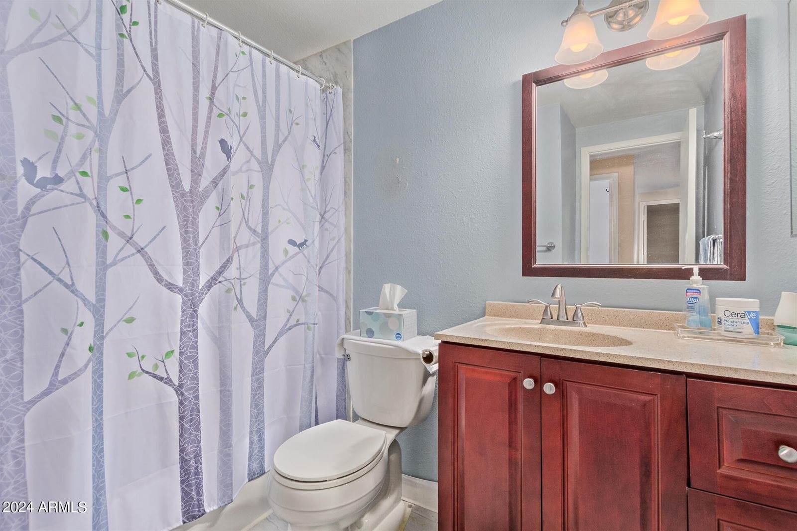 1710 West Palomino Drive, Chandler, AZ 85224