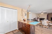 1710 West Palomino Drive, Chandler, AZ 85224