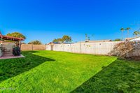 1710 West Palomino Drive, Chandler, AZ 85224