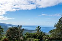 82-317 Mamalahoa Hwy # C-303, Captain Cook, HI 96704