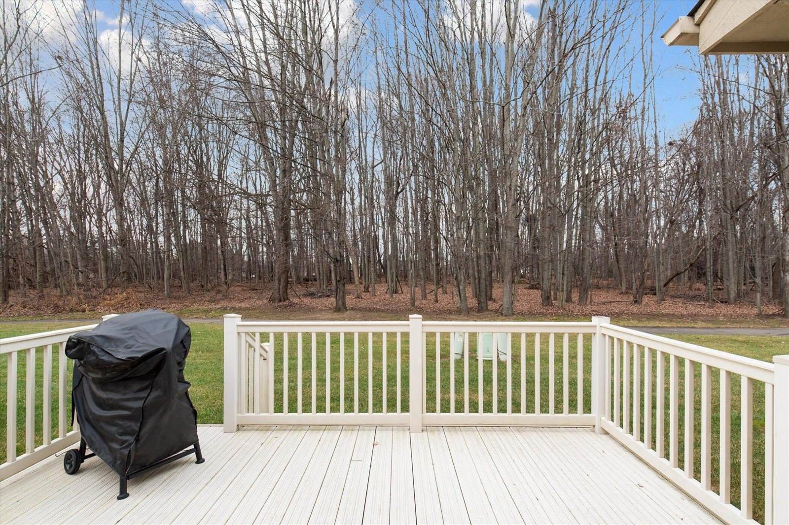 17462 Ava Court, New Boston, MI 48164