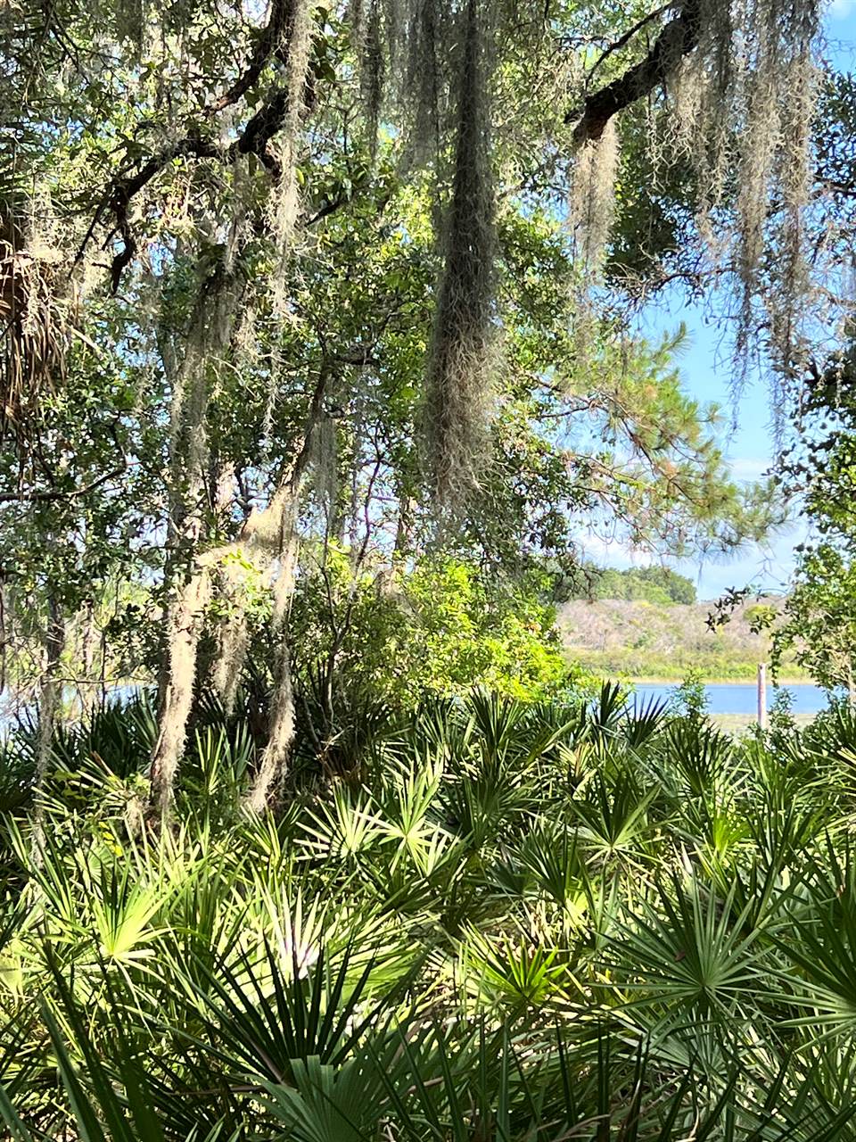 TBD Malauka Radial, Ocklawaha, FL 32179