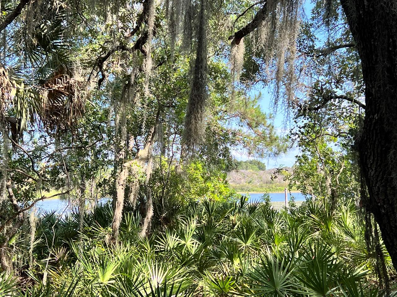 TBD Malauka Radial, Ocklawaha, FL 32179