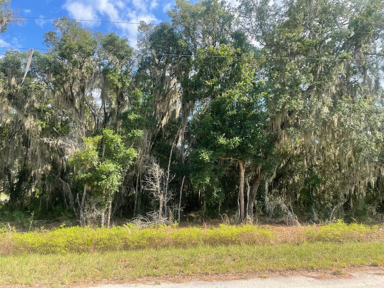 TBD Malauka Radial, Ocklawaha, FL 32179