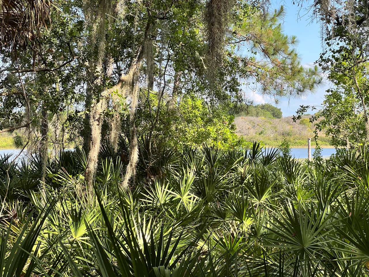 TBD Malauka Radial, Ocklawaha, FL 32179