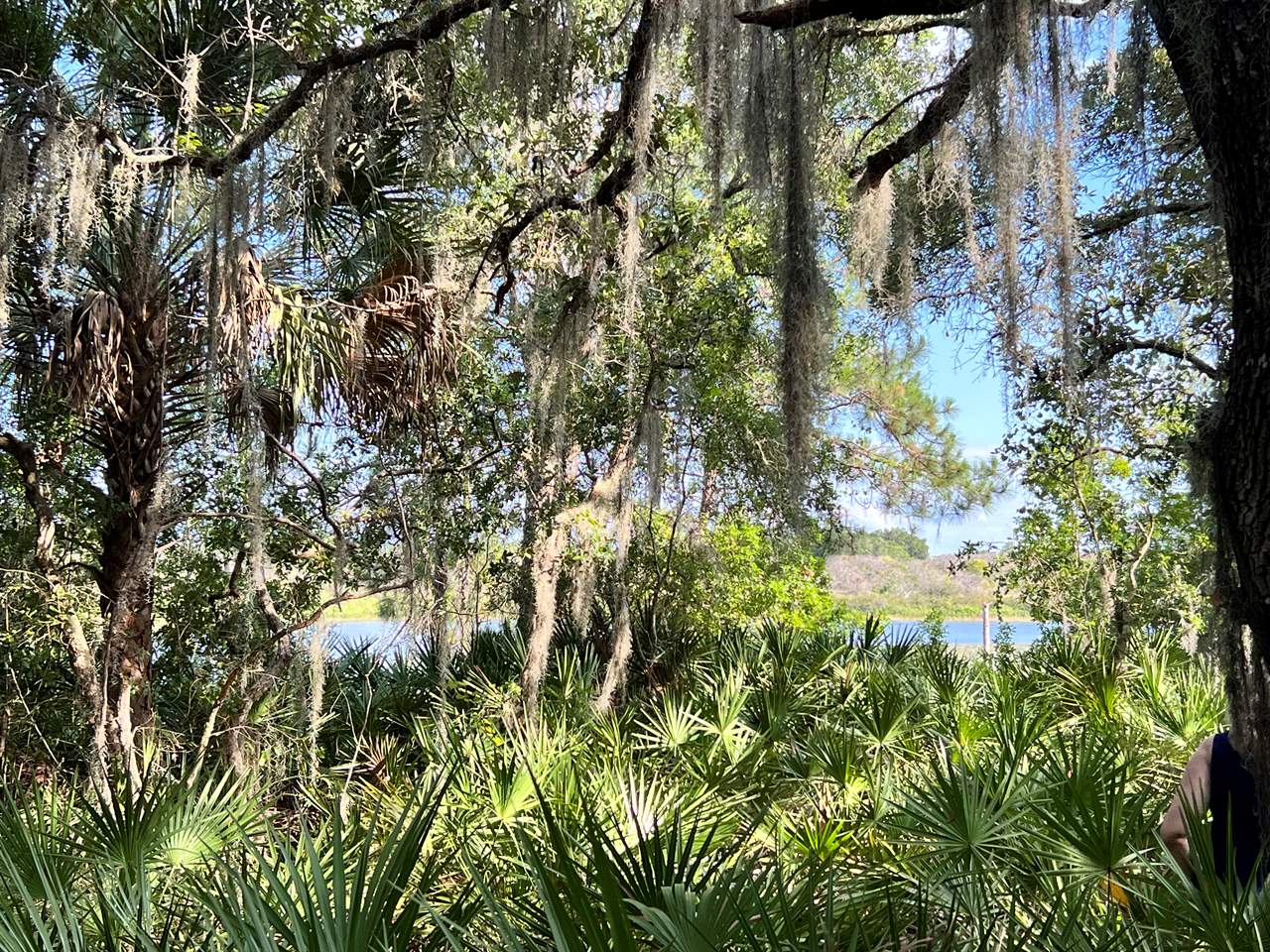 TBD Malauka Radial, Ocklawaha, FL 32179