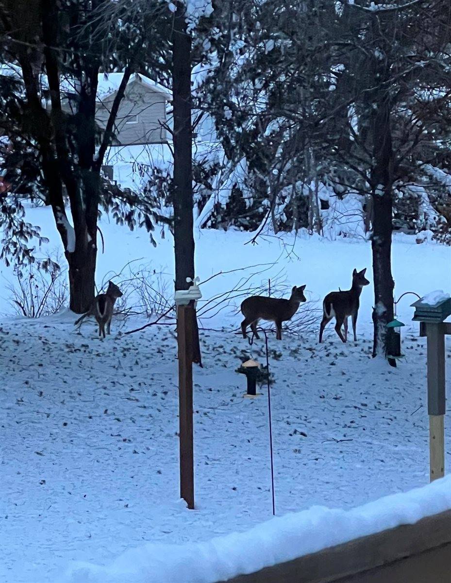 2240 East Princeton Avenue, Eau Claire, WI 54703