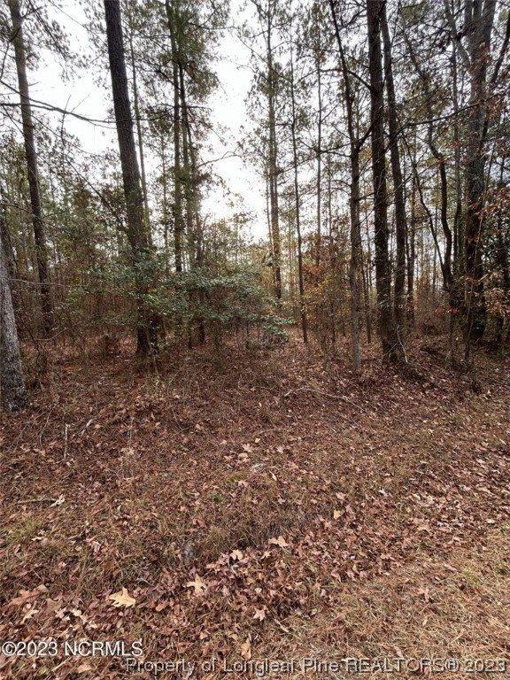 4055 Niagara-Carthage Road, Whispering Pines, NC 28327