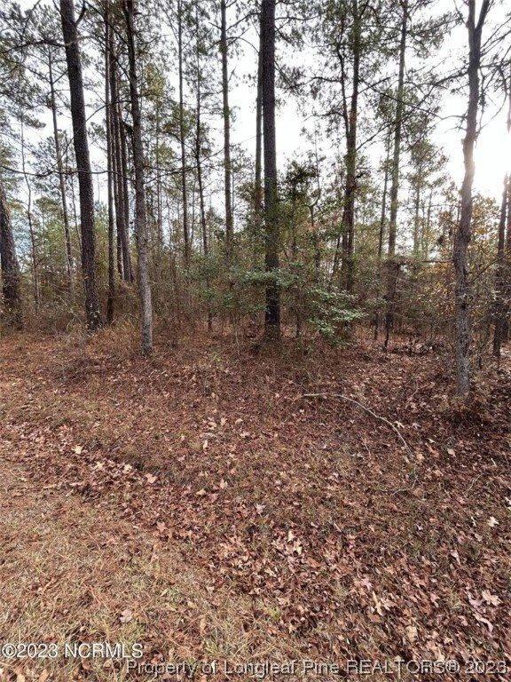 4055 Niagara-Carthage Road, Whispering Pines, NC 28327