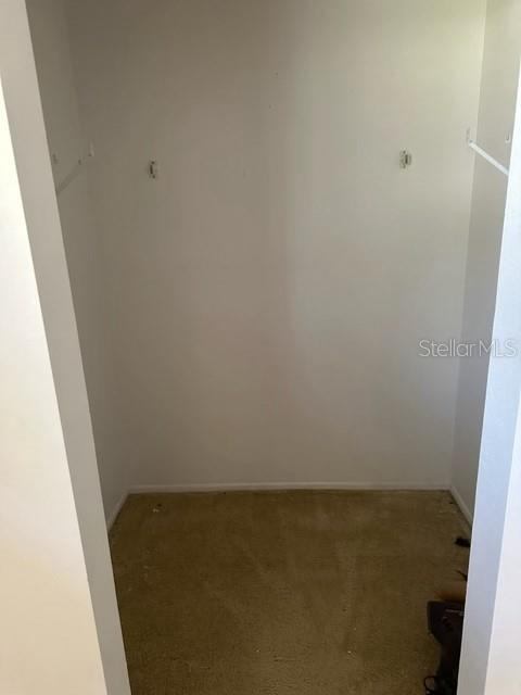 6002 Laketree Lane, Temple Terrace, FL 33617