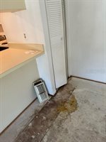 6002 Laketree Lane, Temple Terrace, FL 33617