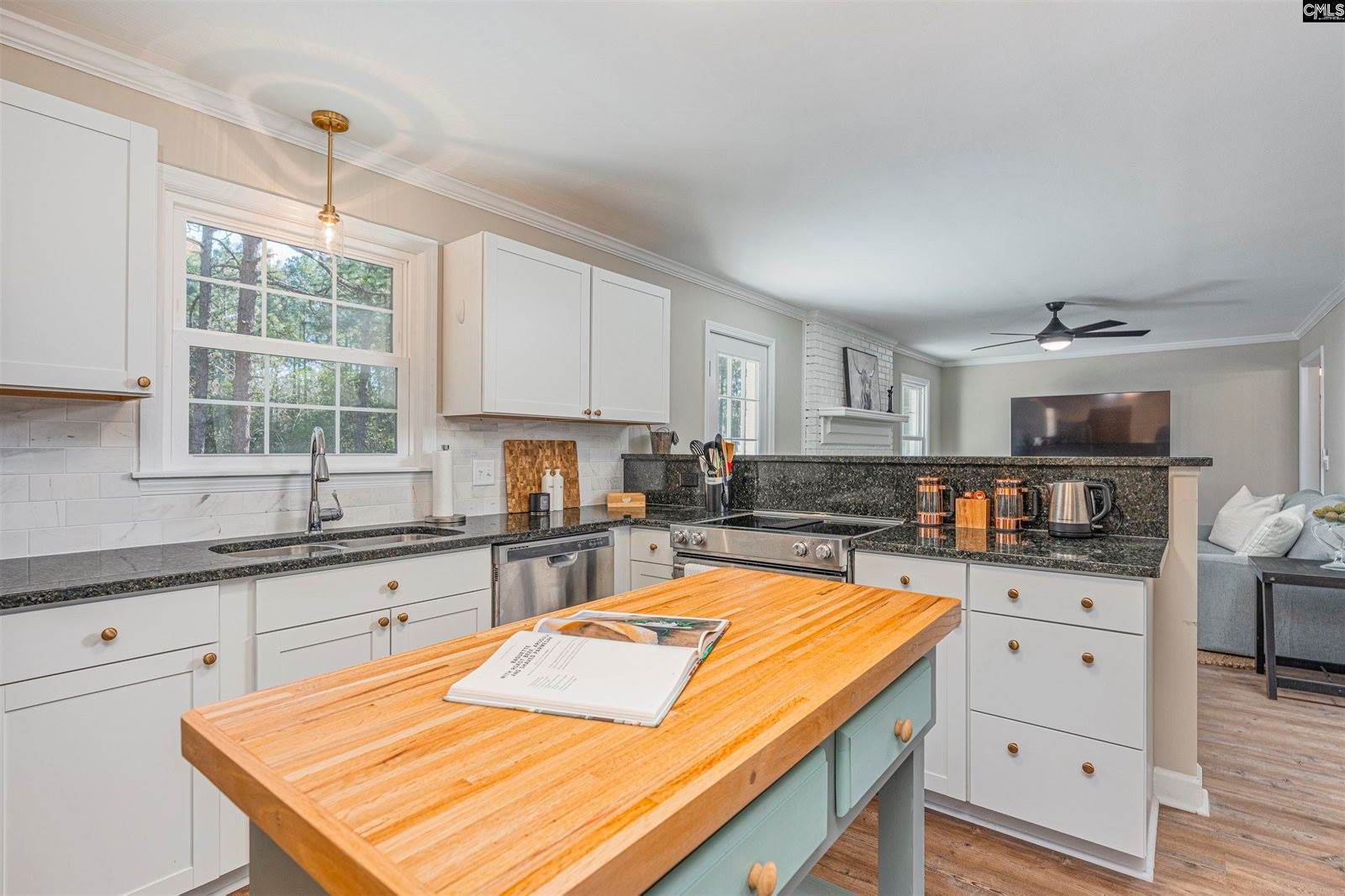 163 Longwood Drive, Lexington, SC 29073