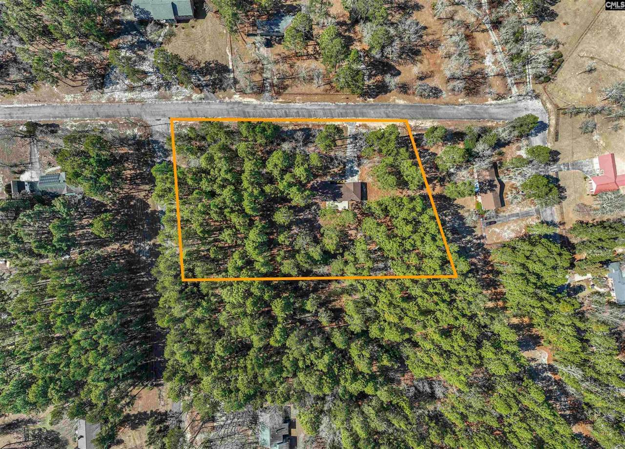 163 Longwood Drive, Lexington, SC 29073