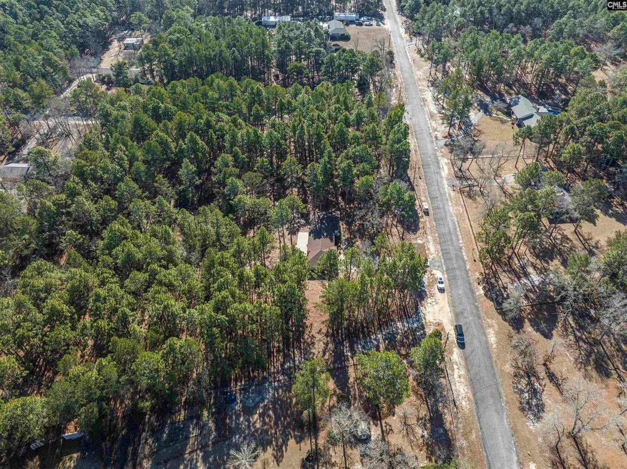 163 Longwood Drive, Lexington, SC 29073