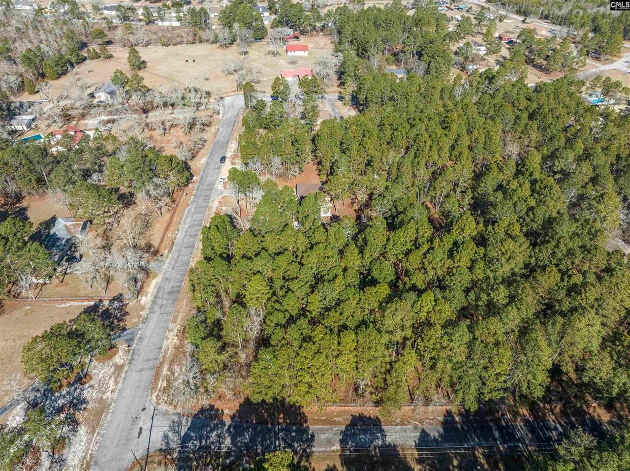 163 Longwood Drive, Lexington, SC 29073