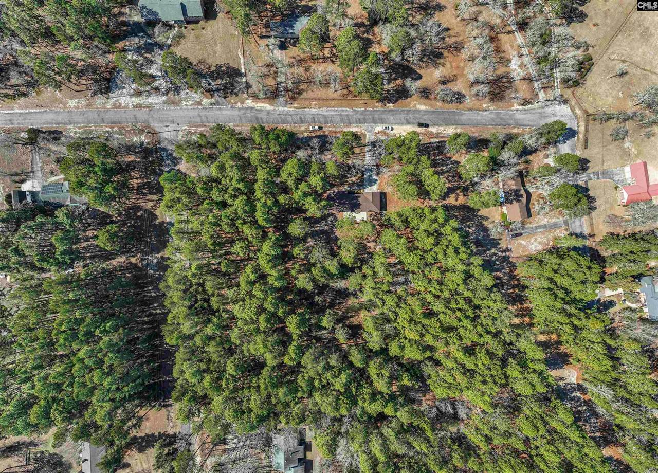 163 Longwood Drive, Lexington, SC 29073