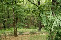 15400 Triangle Lane, Saint Robert, MO 65584