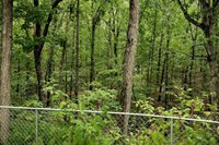 15400 Triangle Lane, Saint Robert, MO 65584