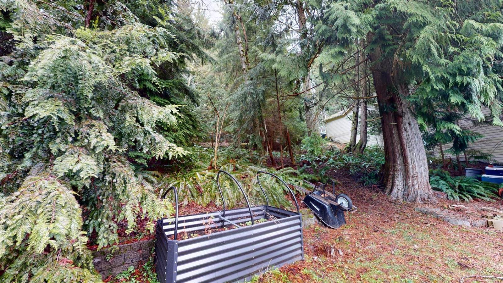8 Yearling Place, Bellingham, WA 98229