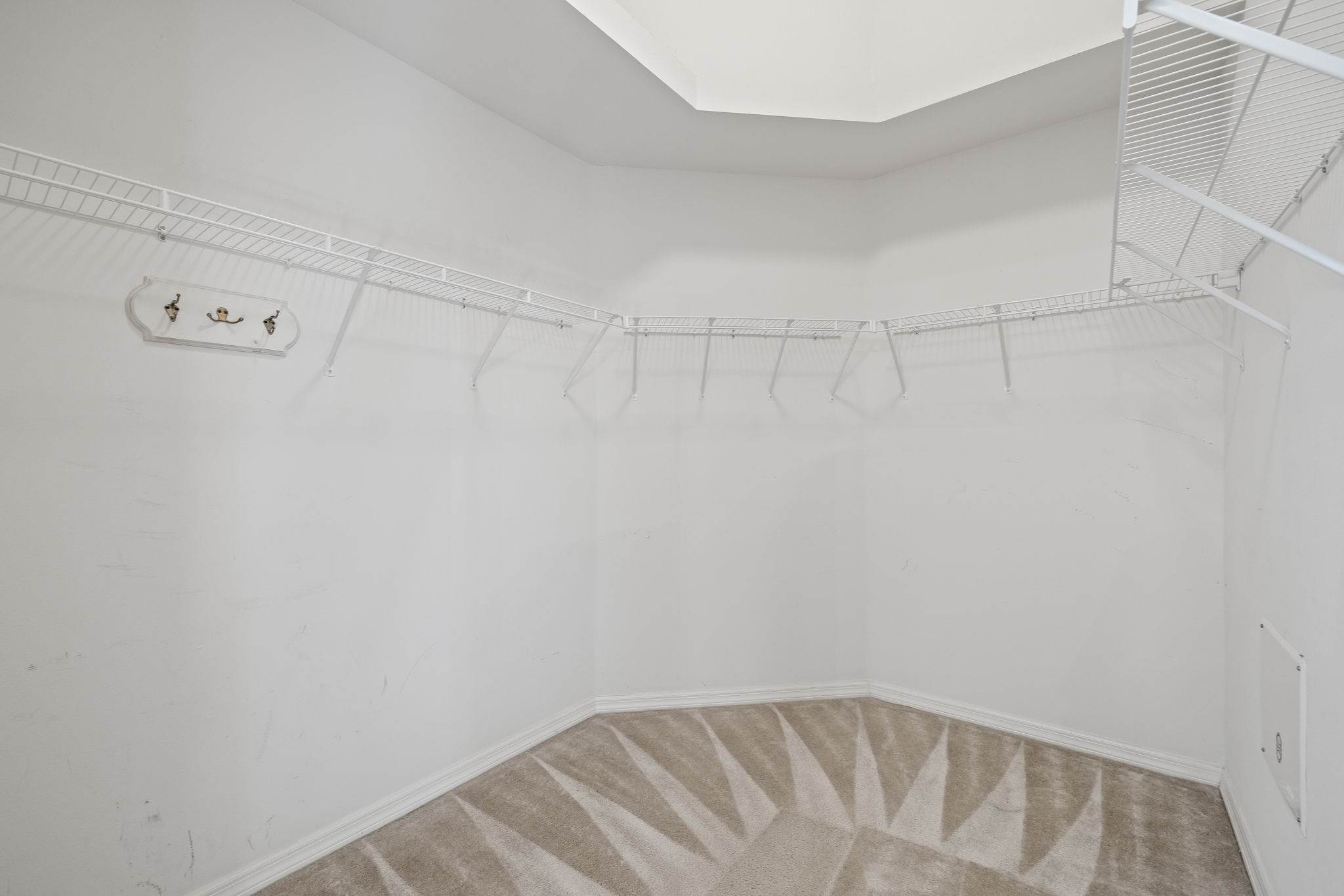 6823 Runner Oak Dr, Wesley Chapel, FL 33545