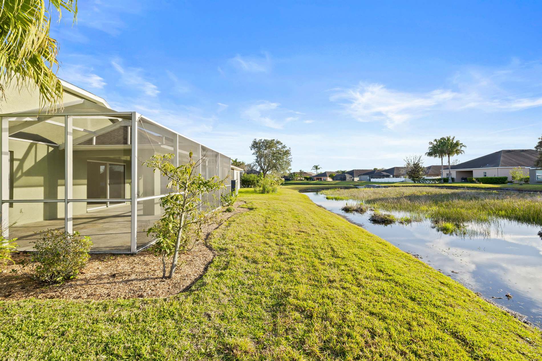 6823 Runner Oak Dr, Wesley Chapel, FL 33545