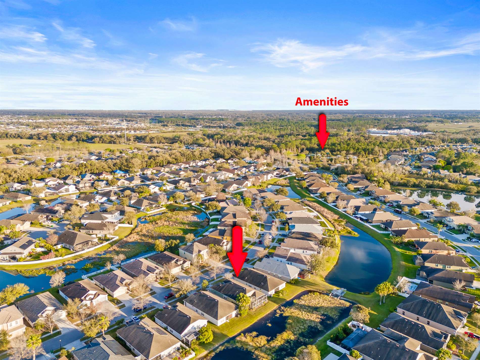 6823 Runner Oak Dr, Wesley Chapel, FL 33545