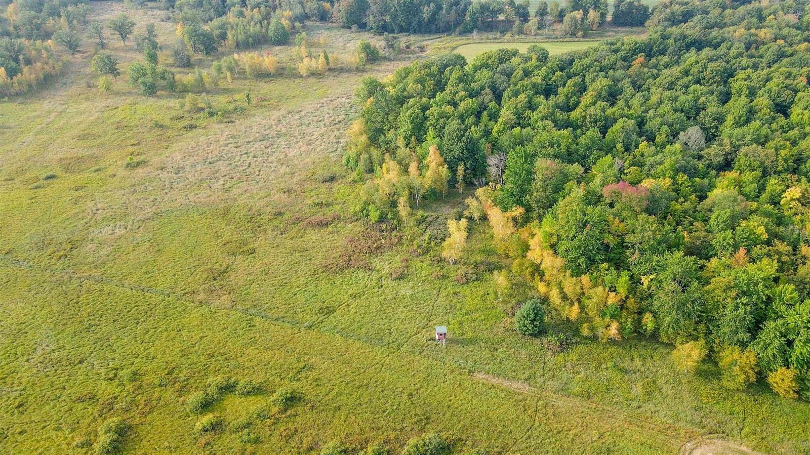 40 Acres County Road II, Rudolph, WI 54475